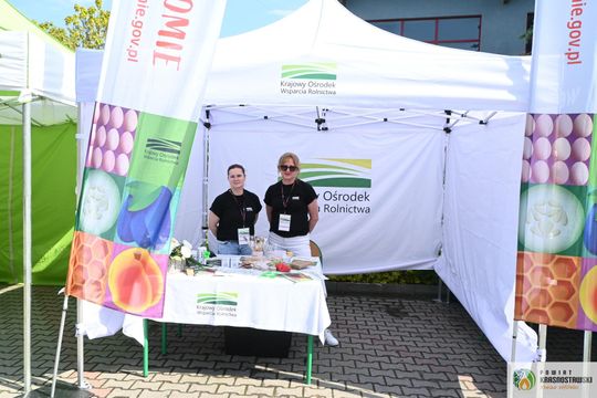 Pow. krasnostawski. Rowerowy Dzień Dziecka w Kraszczadach [GALERIA ZDJĘĆ]