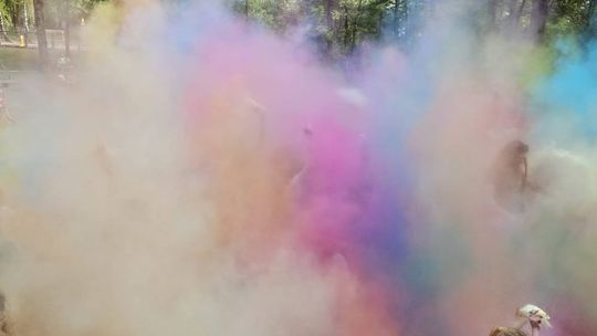 Chełm. 16. Ogólnomiejski Festyn z okazji Dnia Dziecka w Ogródku Jordanowskim [GALERIA ZDJĘĆ]