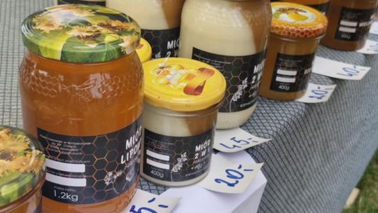 Gmina Chełm. XXVII Nadbużańskie Święto Pszczoły w Okszowie 2025 [GALERIA ZDJĘĆ]