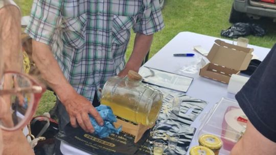 Gmina Chełm. XXVII Nadbużańskie Święto Pszczoły w Okszowie 2025 [GALERIA ZDJĘĆ]