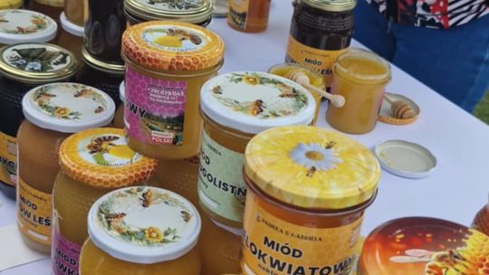 Gmina Chełm. XXVII Nadbużańskie Święto Pszczoły w Okszowie 2025 [GALERIA ZDJĘĆ]