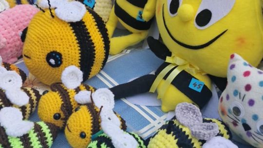 Gmina Chełm. XXVII Nadbużańskie Święto Pszczoły w Okszowie 2025 [GALERIA ZDJĘĆ]