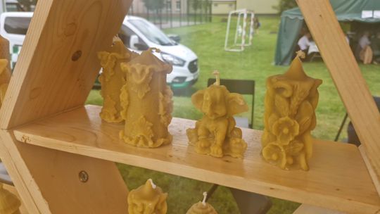 Gmina Chełm. XXVII Nadbużańskie Święto Pszczoły w Okszowie 2025 [GALERIA ZDJĘĆ]