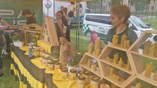 Gmina Chełm. XXVII Nadbużańskie Święto Pszczoły w Okszowie 2025 [GALERIA ZDJĘĆ]