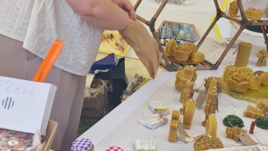 Gmina Chełm. XXVII Nadbużańskie Święto Pszczoły w Okszowie 2025 [GALERIA ZDJĘĆ]