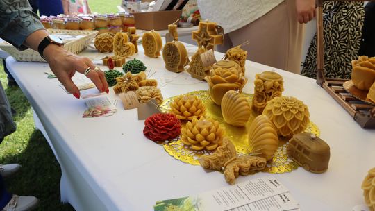 Gmina Chełm. XXVII Nadbużańskie Święto Pszczoły w Okszowie 2025 [GALERIA ZDJĘĆ]