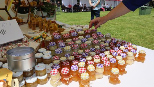 Gmina Chełm. XXVII Nadbużańskie Święto Pszczoły w Okszowie 2025 [GALERIA ZDJĘĆ]