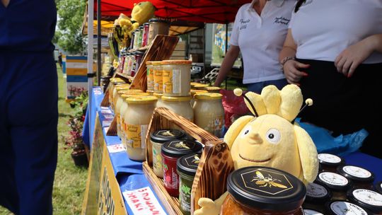 Gmina Chełm. XXVII Nadbużańskie Święto Pszczoły w Okszowie 2025 [GALERIA ZDJĘĆ]