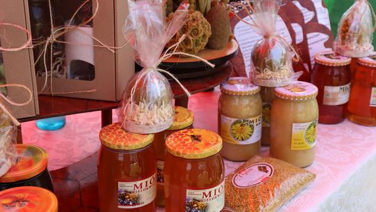 Gmina Chełm. XXVII Nadbużańskie Święto Pszczoły w Okszowie 2025 [GALERIA ZDJĘĆ]