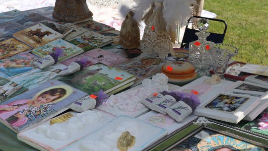 Gmina Chełm. XXVII Nadbużańskie Święto Pszczoły w Okszowie 2025 [GALERIA ZDJĘĆ]