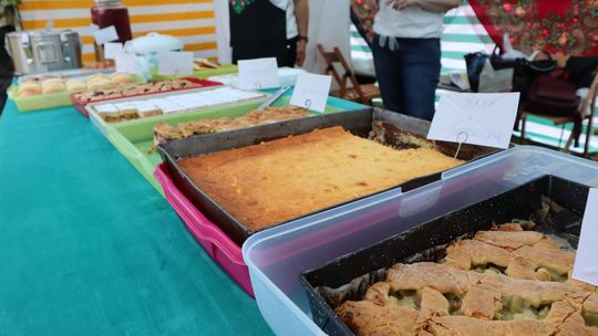 Gmina Chełm. XXVII Nadbużańskie Święto Pszczoły w Okszowie 2025 [GALERIA ZDJĘĆ]