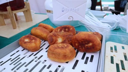 Gmina Chełm. XXVII Nadbużańskie Święto Pszczoły w Okszowie 2025 [GALERIA ZDJĘĆ]