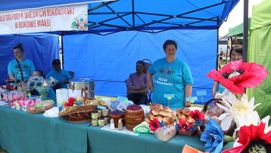 Gmina Chełm. XXVII Nadbużańskie Święto Pszczoły w Okszowie 2025 [GALERIA ZDJĘĆ]