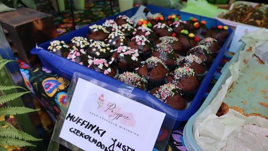 Gmina Chełm. XXVII Nadbużańskie Święto Pszczoły w Okszowie 2025 [GALERIA ZDJĘĆ]