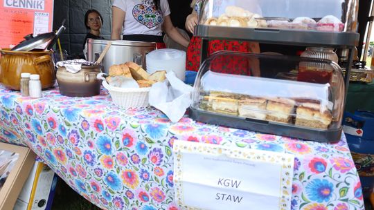 Gmina Chełm. XXVII Nadbużańskie Święto Pszczoły w Okszowie 2025 [GALERIA ZDJĘĆ]