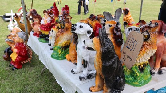 Gmina Chełm. XXVII Nadbużańskie Święto Pszczoły w Okszowie 2025 [GALERIA ZDJĘĆ]