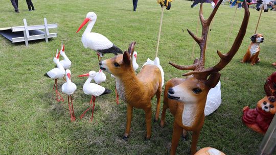 Gmina Chełm. XXVII Nadbużańskie Święto Pszczoły w Okszowie 2025 [GALERIA ZDJĘĆ]