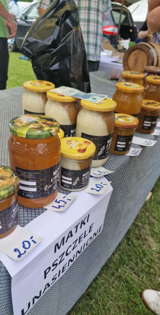 Gmina Chełm. XXVII Nadbużańskie Święto Pszczoły w Okszowie 2025 [GALERIA ZDJĘĆ]