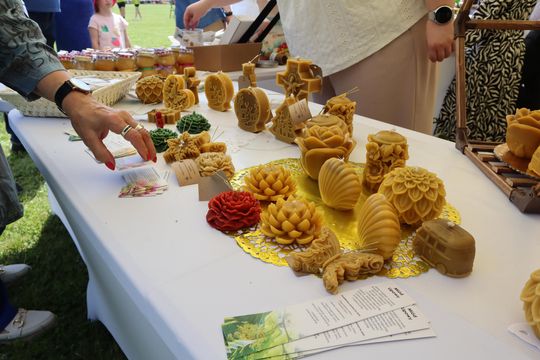 Gmina Chełm. XXVII Nadbużańskie Święto Pszczoły w Okszowie 2025 [GALERIA ZDJĘĆ]