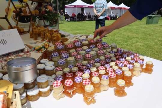 Gmina Chełm. XXVII Nadbużańskie Święto Pszczoły w Okszowie 2025 [GALERIA ZDJĘĆ]