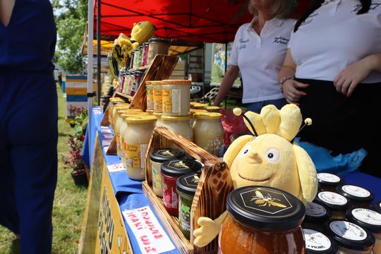 Gmina Chełm. XXVII Nadbużańskie Święto Pszczoły w Okszowie 2025 [GALERIA ZDJĘĆ]