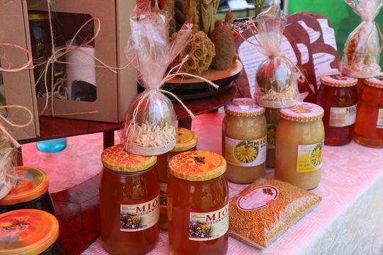 Gmina Chełm. XXVII Nadbużańskie Święto Pszczoły w Okszowie 2025 [GALERIA ZDJĘĆ]