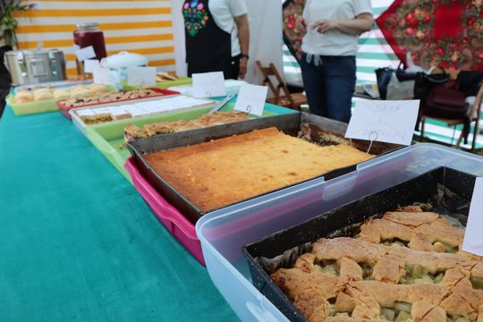 Gmina Chełm. XXVII Nadbużańskie Święto Pszczoły w Okszowie 2025 [GALERIA ZDJĘĆ]