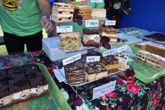 Gmina Chełm. XXVII Nadbużańskie Święto Pszczoły w Okszowie 2025 [GALERIA ZDJĘĆ]