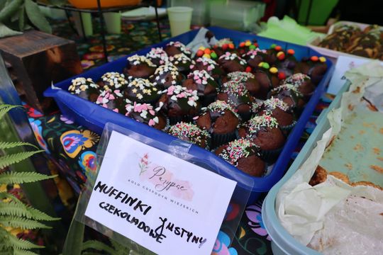 Gmina Chełm. XXVII Nadbużańskie Święto Pszczoły w Okszowie 2025 [GALERIA ZDJĘĆ]