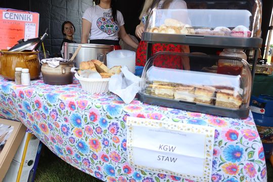 Gmina Chełm. XXVII Nadbużańskie Święto Pszczoły w Okszowie 2025 [GALERIA ZDJĘĆ]