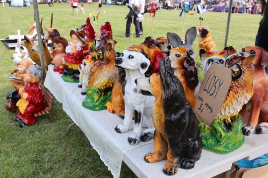 Gmina Chełm. XXVII Nadbużańskie Święto Pszczoły w Okszowie 2025 [GALERIA ZDJĘĆ]