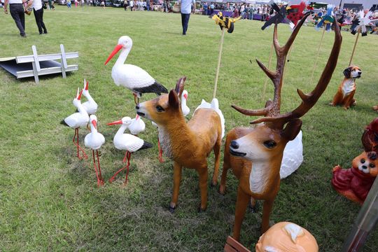 Gmina Chełm. XXVII Nadbużańskie Święto Pszczoły w Okszowie 2025 [GALERIA ZDJĘĆ]