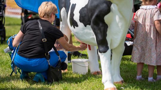 Gmina Chełm. XXVII Nadbużańskie Święto Pszczoły w Okszowie 2025 cz. II [GALERIA ZDJĘĆ]