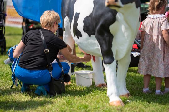 Gmina Chełm. XXVII Nadbużańskie Święto Pszczoły w Okszowie 2025 cz. II [GALERIA ZDJĘĆ]