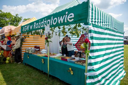 Gmina Chełm. XXVII Nadbużańskie Święto Pszczoły w Okszowie 2025 cz. II [GALERIA ZDJĘĆ]