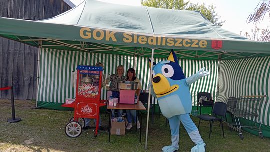 Gminny Piknik Rodzinny w Siedliszczu [GALERIA ZDJĘĆ]