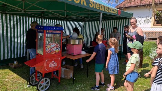 Gminny Piknik Rodzinny w Siedliszczu [GALERIA ZDJĘĆ]