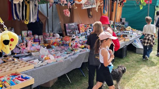 Gminny Piknik Rodzinny w Siedliszczu [GALERIA ZDJĘĆ]