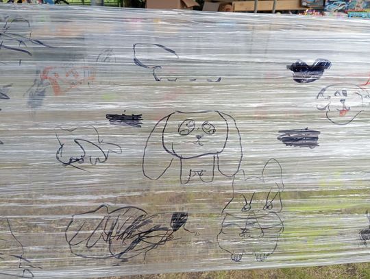 Gminny Piknik Rodzinny w Siedliszczu [GALERIA ZDJĘĆ]