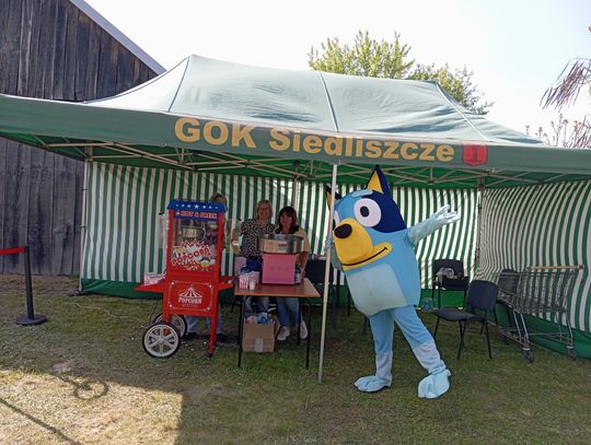 Gminny Piknik Rodzinny w Siedliszczu [GALERIA ZDJĘĆ]