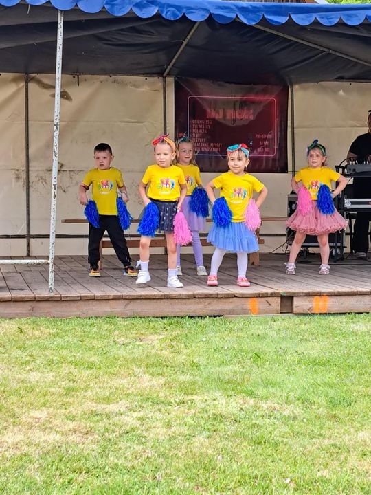 Gminny Piknik Rodzinny w Siedliszczu [GALERIA ZDJĘĆ]