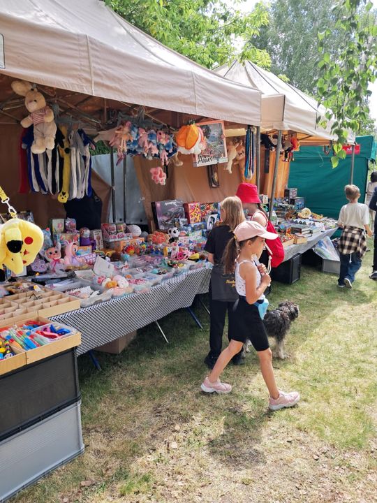 Gminny Piknik Rodzinny w Siedliszczu [GALERIA ZDJĘĆ]