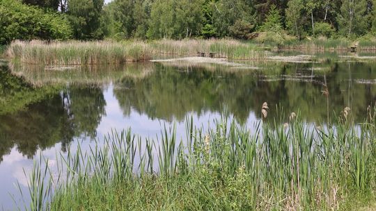 Zawody wędkarskie dla dzieci w gminie Białopole [GALERIA ZDJĘĆ]