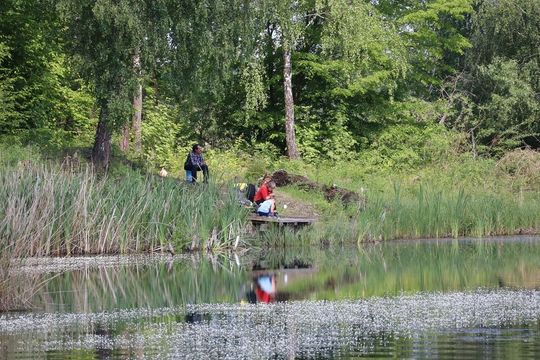 Zawody wędkarskie dla dzieci w gminie Białopole [GALERIA ZDJĘĆ]