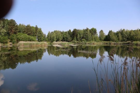 Zawody wędkarskie dla dzieci w gminie Białopole [GALERIA ZDJĘĆ]