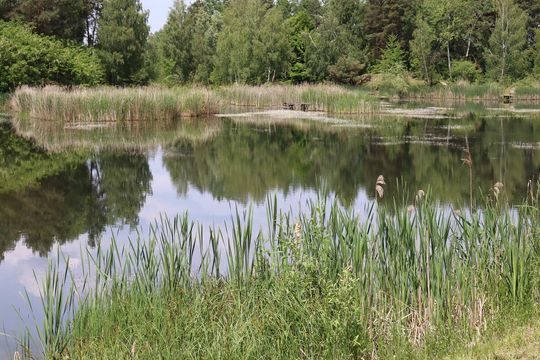 Zawody wędkarskie dla dzieci w gminie Białopole [GALERIA ZDJĘĆ]