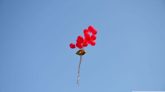 Festyn w morskim klimacie w Szkole Podstawowej nr 5 w Krasnymstawie [GALERIA ZDJĘĆ]