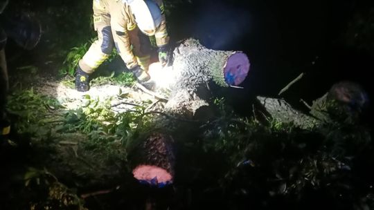 Nawałnica w powiecie krasnostawskim. Spadł grad wielkości piłeczek pingpongowych [GALERIA ZDJĘĆ]