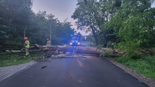 Nawałnica w powiecie krasnostawskim. Spadł grad wielkości piłeczek pingpongowych [GALERIA ZDJĘĆ]