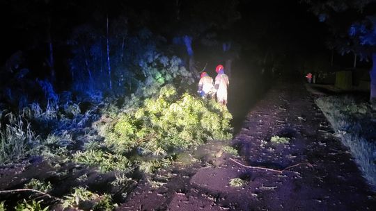 Nawałnica w powiecie krasnostawskim. Spadł grad wielkości piłeczek pingpongowych [GALERIA ZDJĘĆ]